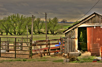 Nebraska Farm 2