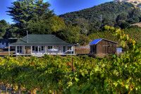 Stiner vineyard (2)