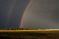 Rainbow Boone Farm