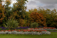Phoenix Park Dublin