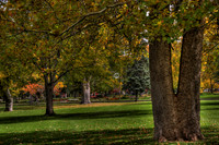 Mineral Palace Park