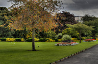 Phoenix Park Dublin